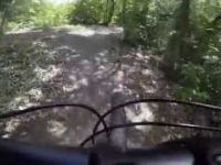 Arch Hill Reserve MTB - Training Wheels