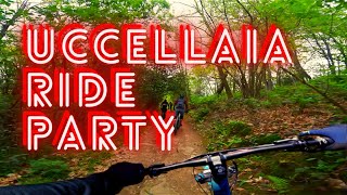 UCCELLAIA Vol 2 - IGNORANTE come un tubo...