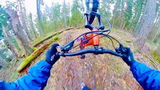 Winter took a break (so I went riding)