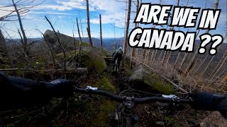 We found these AWESOME tech trails in Harz ...