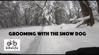 Grooming Fat Bike Trail with Snow Dog in Snow...