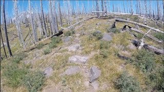 VOTR Cold Springs