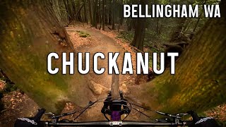 One of Bellingham's Best Tech Descents