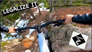 LEGALIZE IT | Black Trail | Winter riding in...