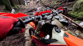 2024 Jan 26 - McNutt - Upper Muzz (after logging)