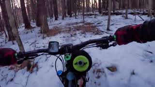 Spaulding Woods - Yellow dot Feb 10, 2024