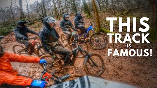 Riding the Best Mountain Bike Trails in...