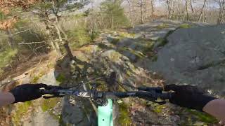 Needham Town Forest: Tapeworm Trail - Full...