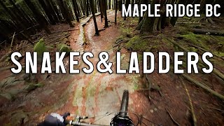 Snakes & Ladders - Woodlot Mountain Biking