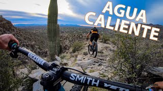 My Favorite Tucson Trail with Toast