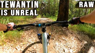 Tackling Trail Blazer, Snake, Secrets &...