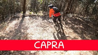 MTB Travalle 17.02.2024_sentiero CAPRA
