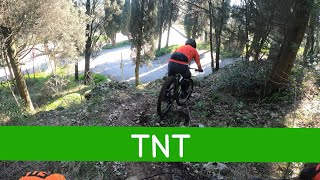 MTB Travalle 17.02.2024_sentiero TNT