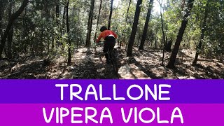 MTB Travalle 17.02.2024_sentiero TRALLONE /...