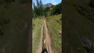 Desarpa - Pila Bikeland