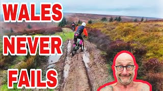 WALES NEVER FAILS