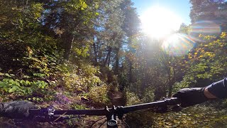 Ogden, UT MTB 3/3 | Upper Wheeler Creek and...