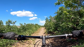 Liberty, Ut MTB | North Fork Park | Mule Ear |...