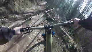 Foxhole Trail Kaposvár
