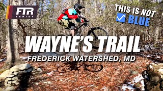 Wayne’s Trail: Black jumps on a Blue trail...