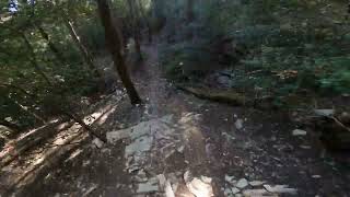 Linea Pezzey - Monte Morello