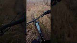Harz MTB  | Enduro-Flow-Trail Schindelstieg II...