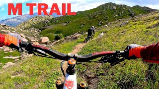 Amazing bike trails Box Springs -M trail #bike...