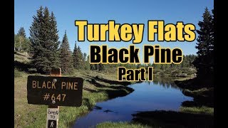 Turkey Flats Part I // Mountain Biking Black...