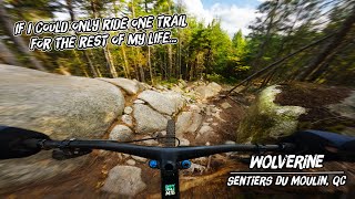 The BEST MTB Trail East of The Rockies!?...
