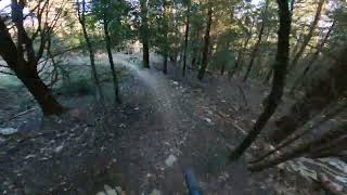 Black Mamba - Monte Morello