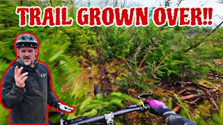 TREES HAD TAKEN OVER THE TRAIL!