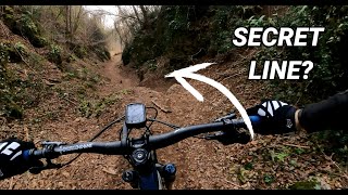 Unleashing Speed: Shredding Trails with My New...