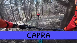 MTB Travalle 17.02.2023 Capra trail