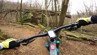Bambi trail