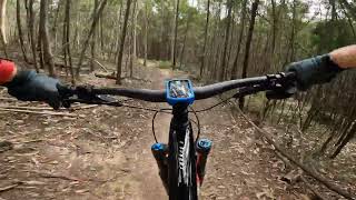 Hump Back - Narooma Mountain Bike Park
