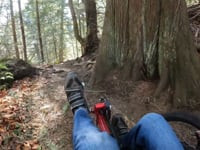 Mud Mountain Rim Trail