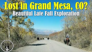 We Get Lost in Beautiful Grand Mesa, Colorado!...