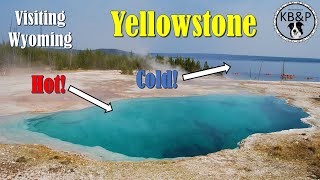 Yellowstone and Ladder Livestock - Our First...