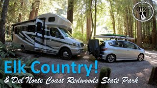 Camping at Elk Country and Del Norte Coast...