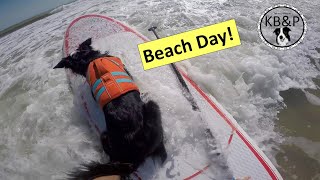 Beach Day!