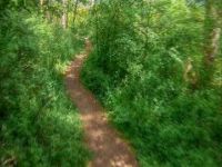 Trail Prokopskej plot | Prokopské údolí |...