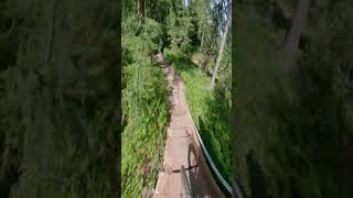 Desarpa Trail