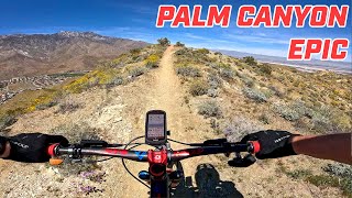 27 Miles of Fun : Palm Canyon Epic