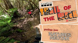 Natures Nectar | Maydena Bike Park GoPro Trail...