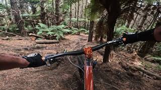 Jekyll and Hyde @ Whakarearewa Forest. Rotorua
