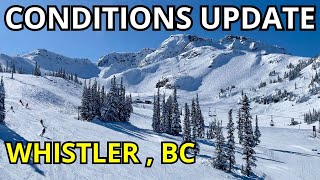 March Break And Season Saving Storm? Whistler BC
