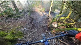 First Time On El Hippo At Dyfi Bike Park  