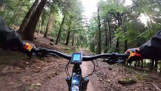 Flow In The Forest Of Dean.. 1st Time Out...