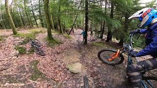 A few hours at Forest Of Dean before storm...