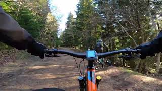 Forest Of Dean.. what a place.. something for...